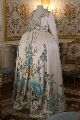 embroidered silk gown in the Louvre